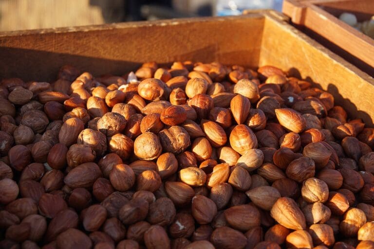 Hazelnuts in wooden container