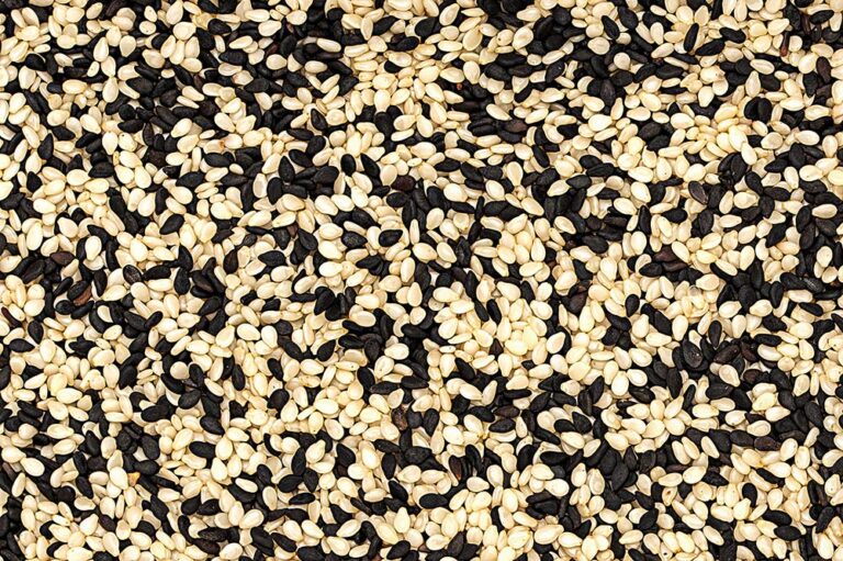 sesame seeds