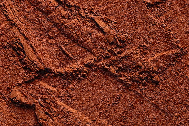 Close up of cocoa powder