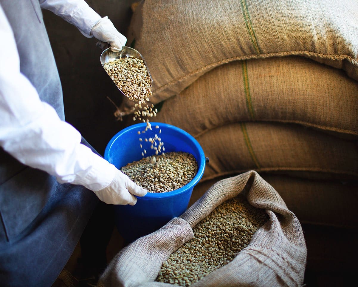 Green coffee beans in burlap sack and woman roaster with scoop