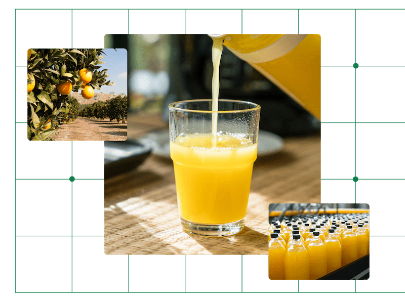 Glass of orange juice