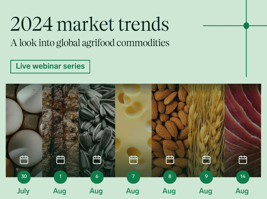 Market Outlook - H2 2024 Landing Page Header