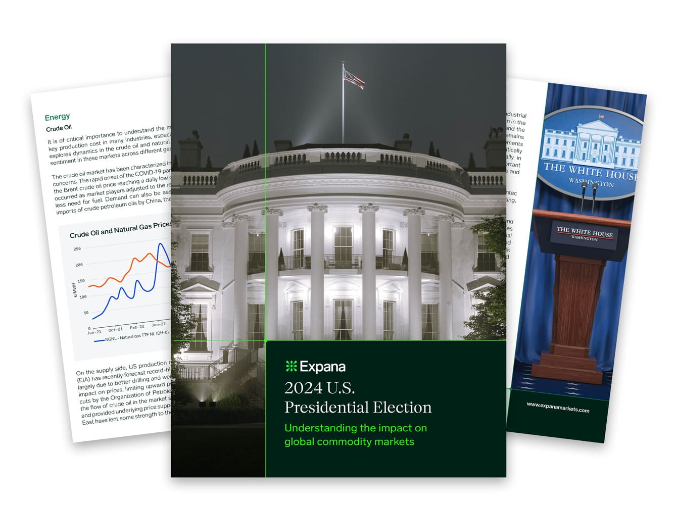 2024 US Election Whitepape – Subscription form image