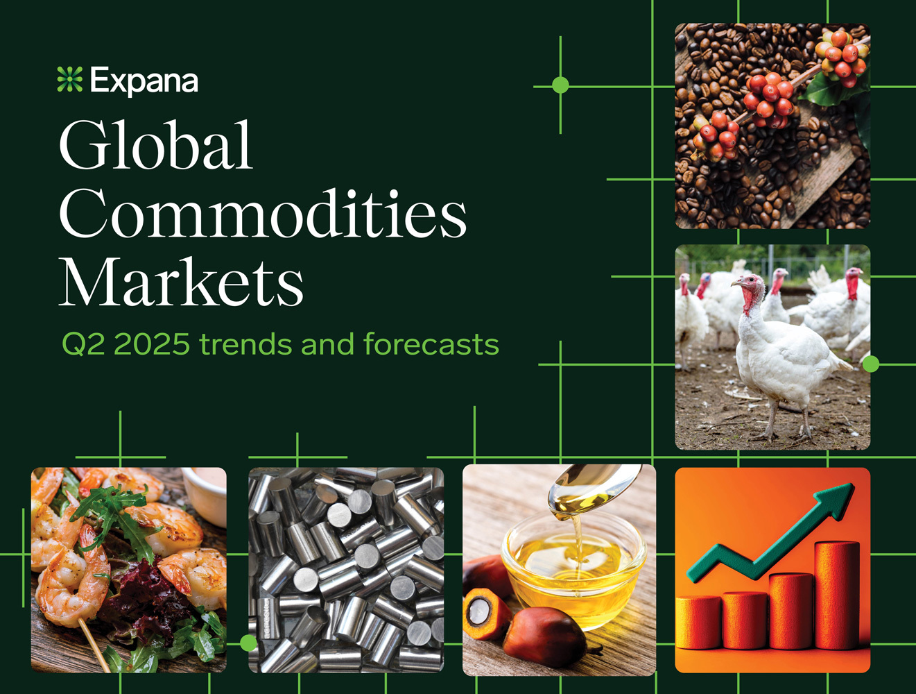 Global Commodities Markets – trends and forecasts report Q2