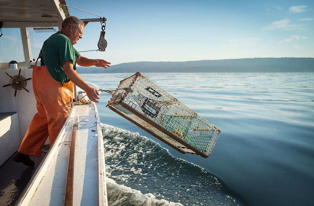 lobster fishing