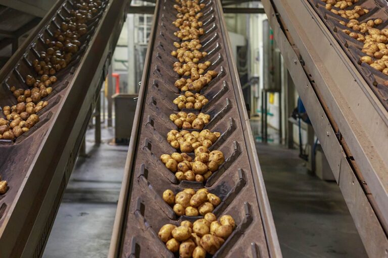 british potatoes
