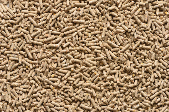 chicken feed additives