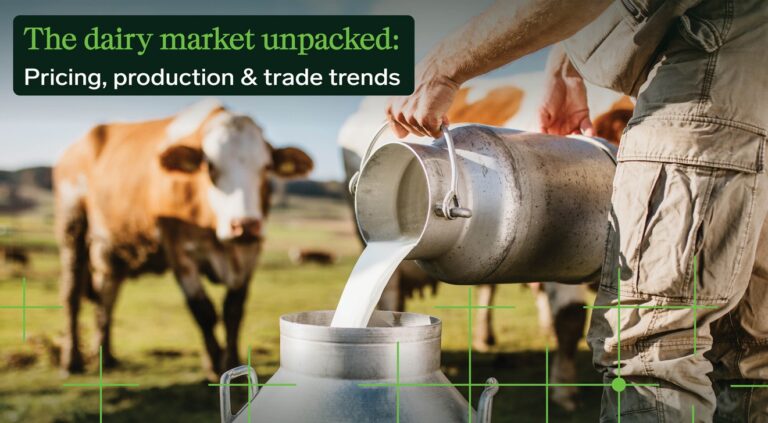 Select The dairy market unpacked: pricing, production & trade trends The dairy market unpacked: pricing, production & trade trends