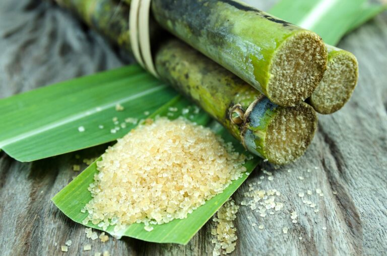 sugarcane