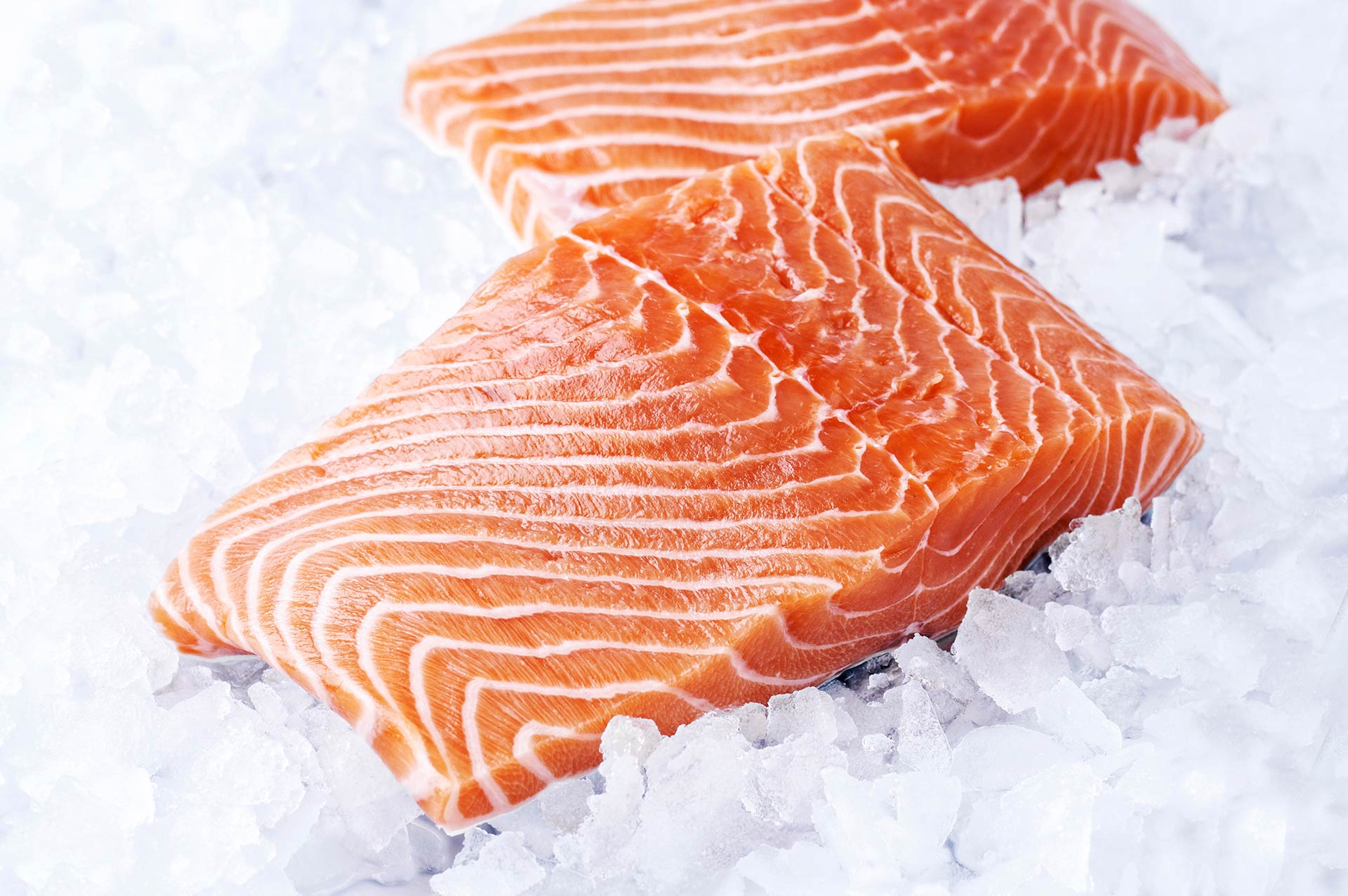 scottish salmon