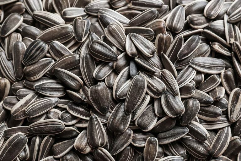 sunflower seeds