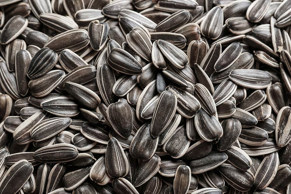 sunflower seeds