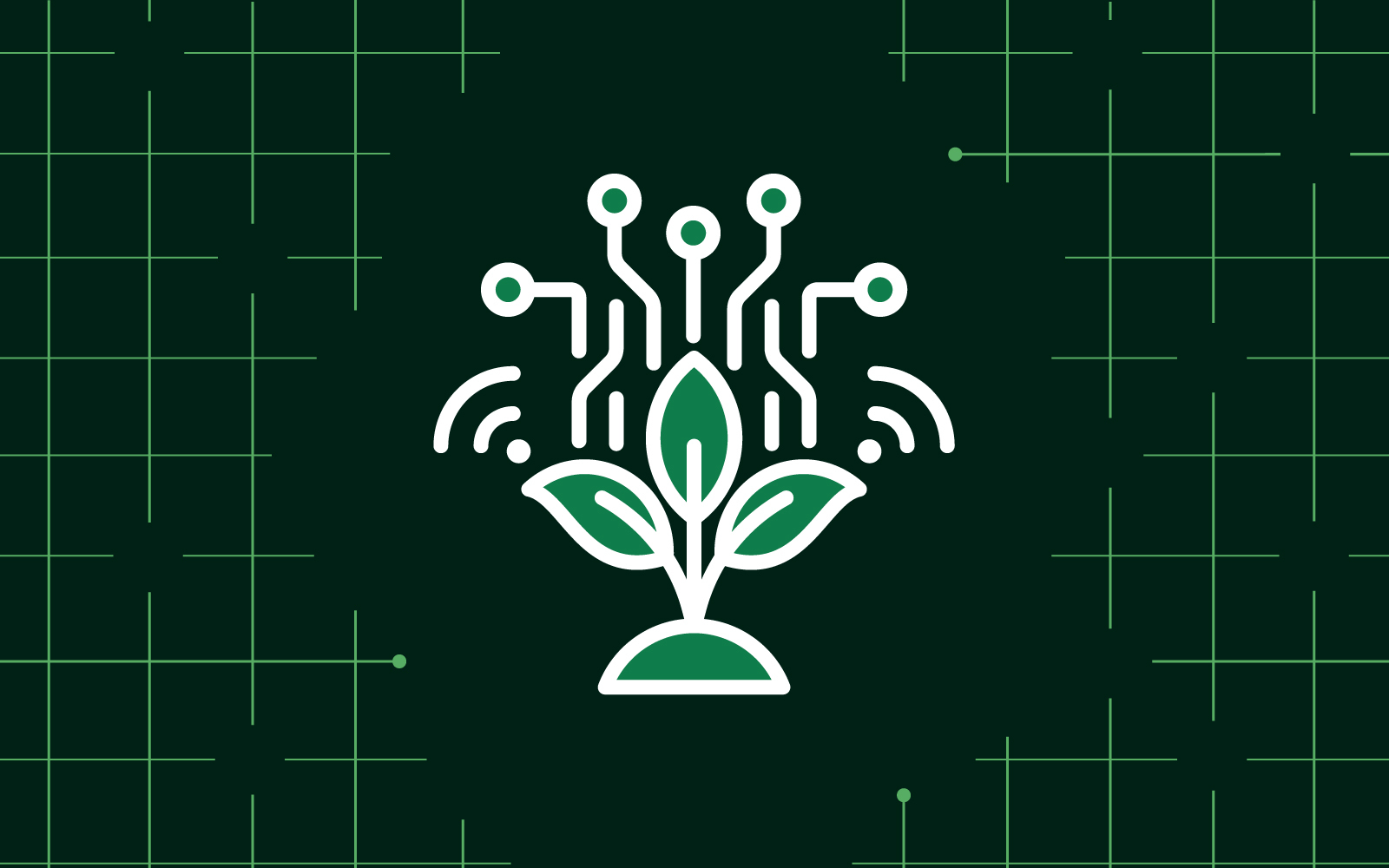 AI strategy in agrifood