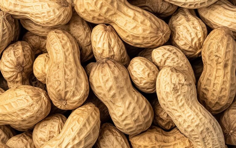 peanuts