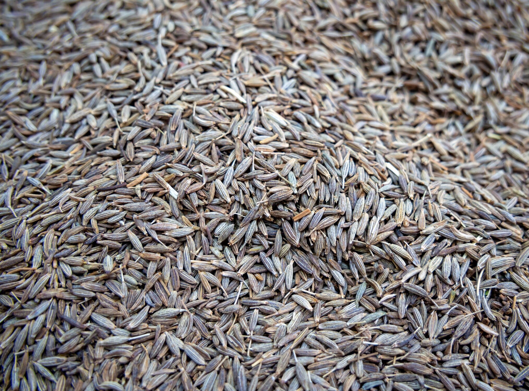 cumin