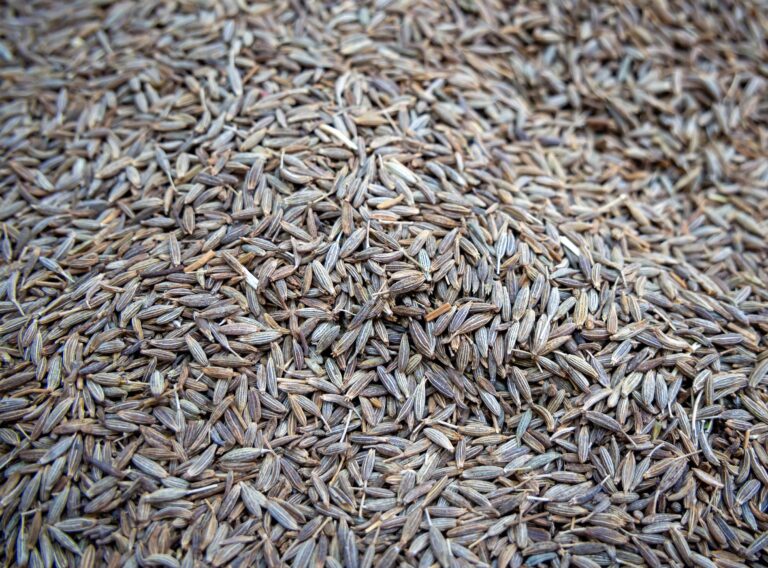 cumin