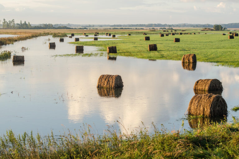 Kazakh rains