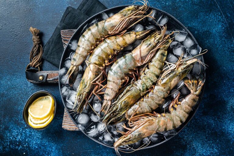 shrimp