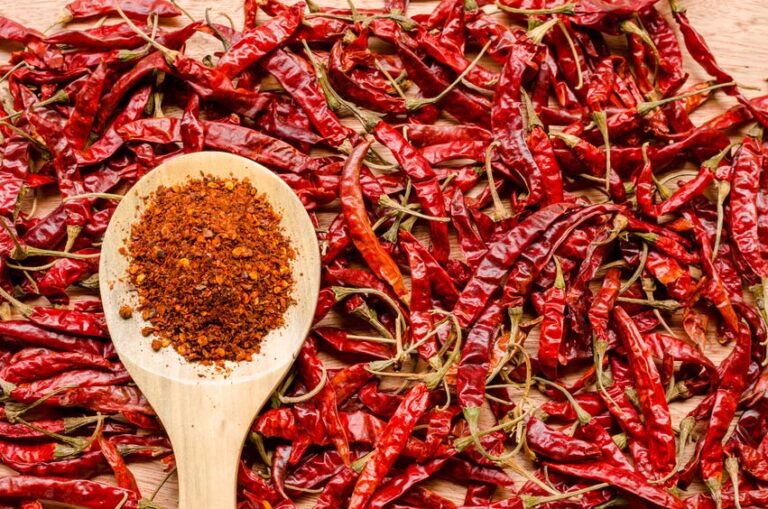 Dried red chillies with wooden spoon of crushed chilli flakes