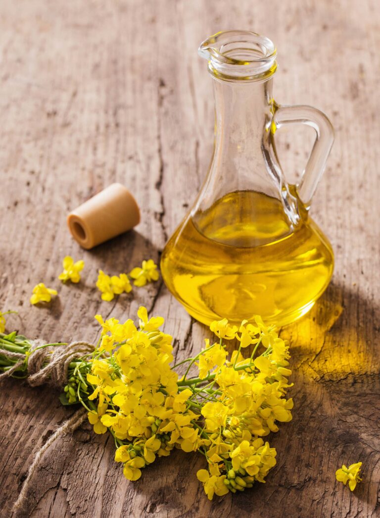 canola