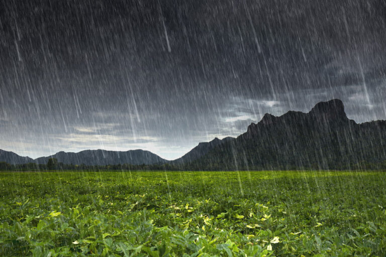 rain