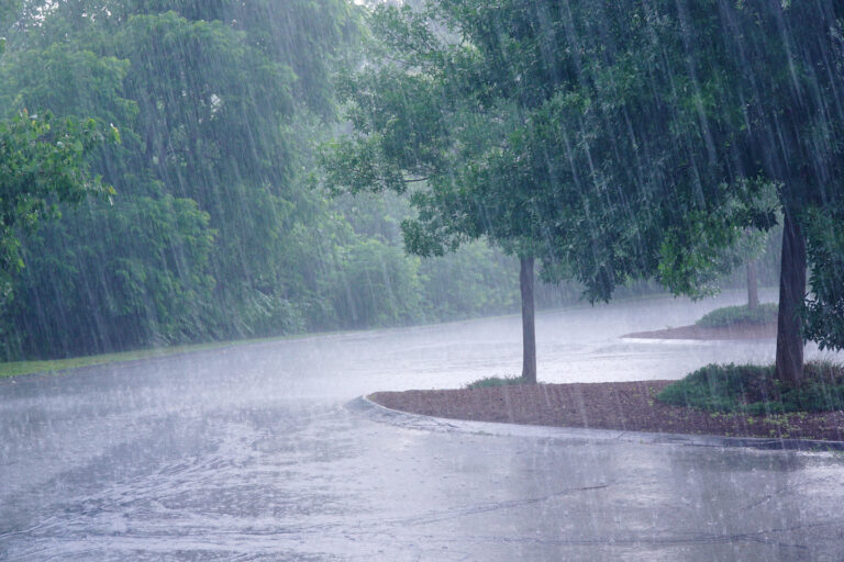 rain