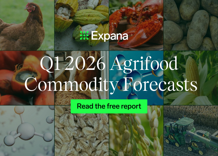 NEW: Q1 2026 Agrifood Commodities Forecasts image