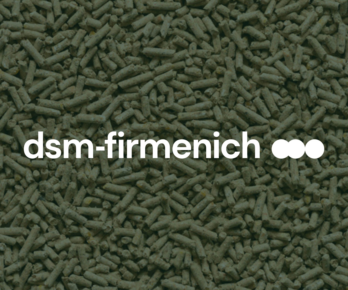 dsm-firmenich