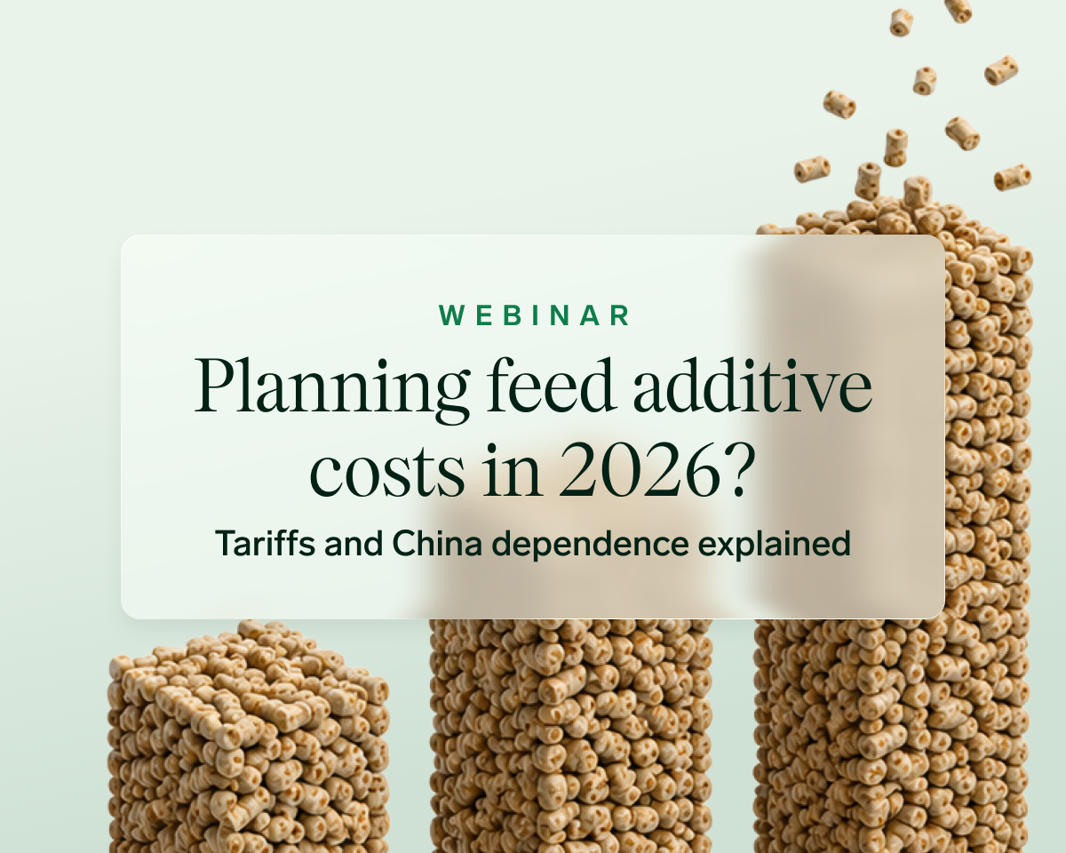 Tariff Webinar