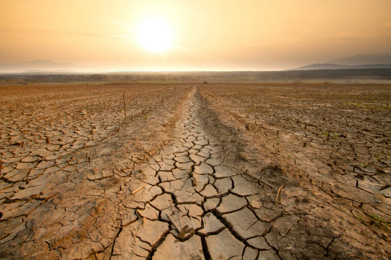 drought