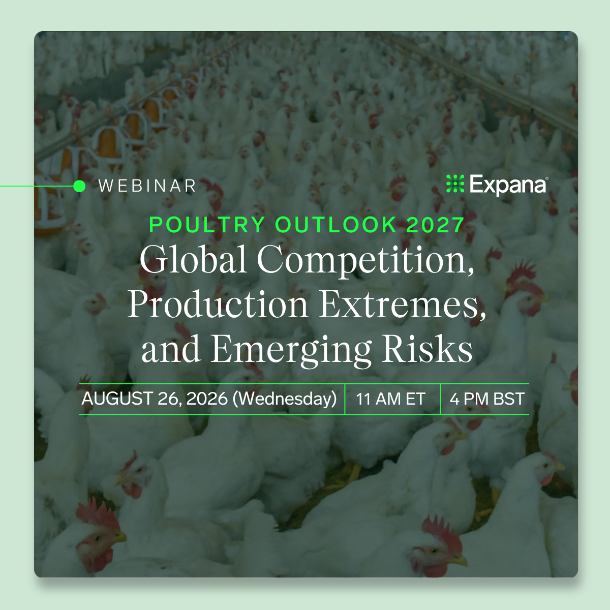Poultry Outlook 2027: Global Competition, Production Extremes, and Emerging Risks
