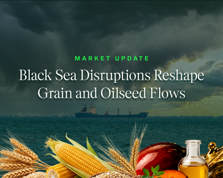 Black Sea Disruptions Reshape Grain and Oilseed Flows - Webpage