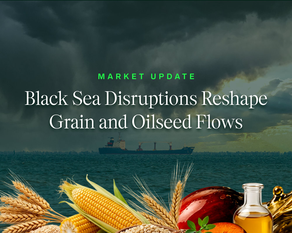 Black Sea Disruptions Reshape Grain and Oilseed Flows - Webpage